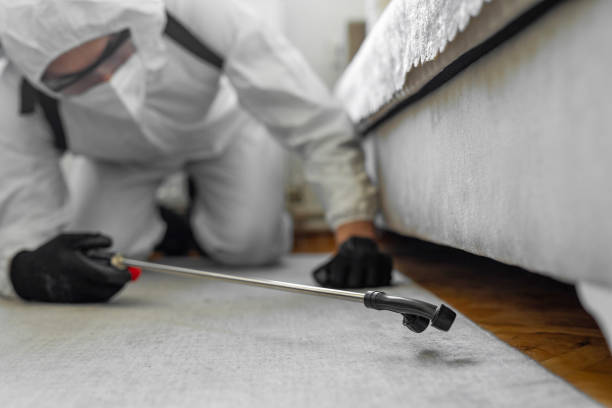 Professional Bed Bug Control technician working in Crocker, WA