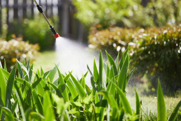 24/7 Emergency Bed Bug Control experts in Crocker, WA
