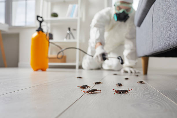 Trusted Termite Control service in Crocker, WA - Nex Pest Control
